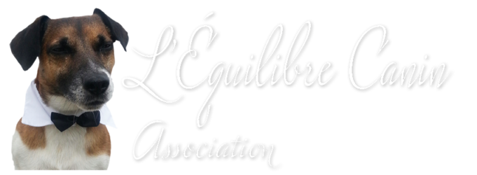 L'Equilibre Canin – Association